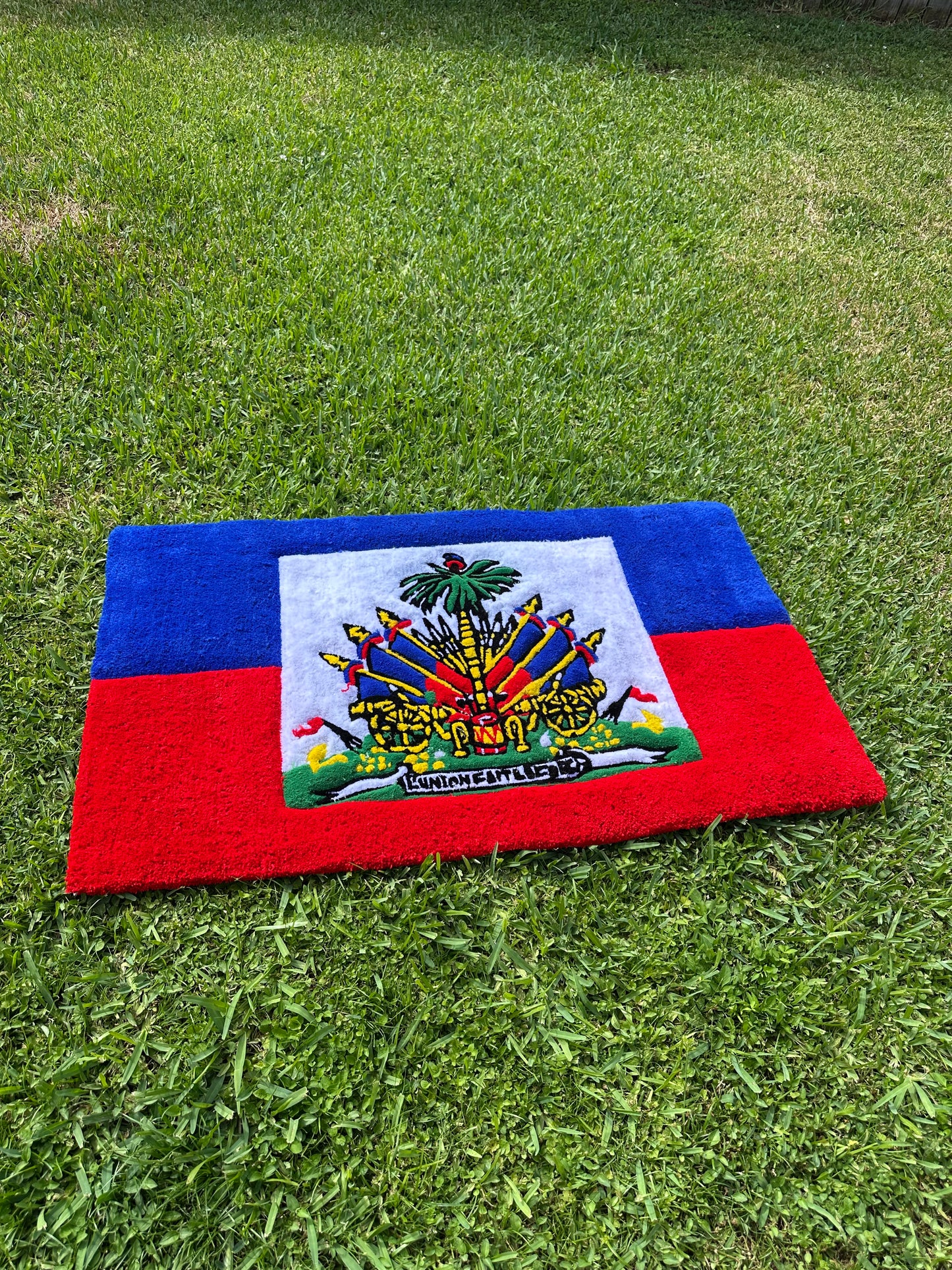 Haitian Flag Rug